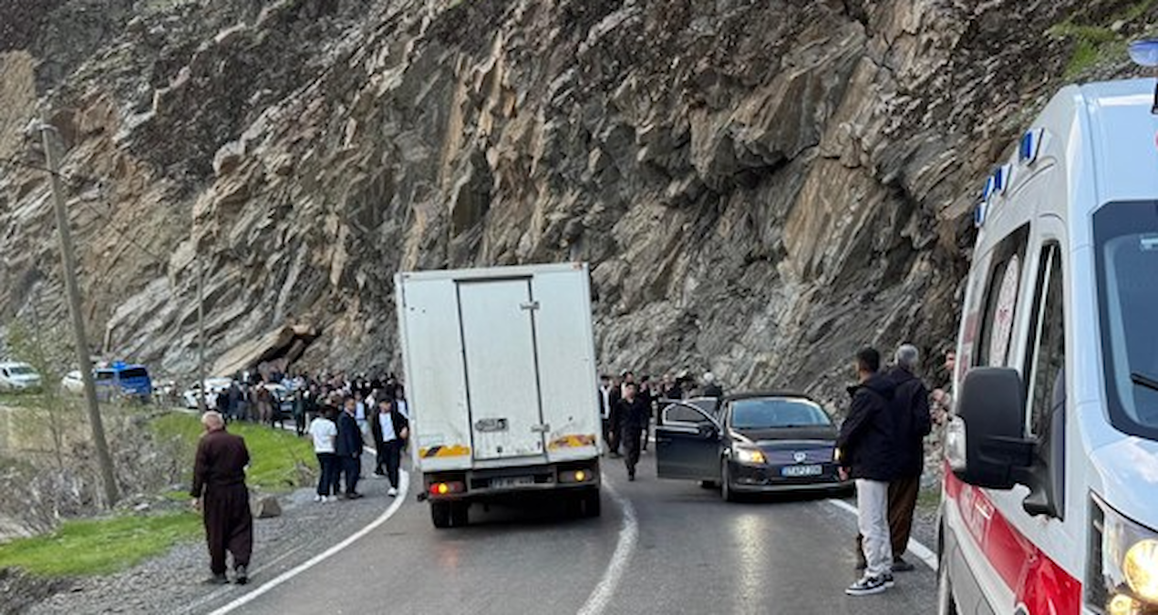 Ayrıntılar Netleşti: Işkın otu toplarken ölümle burun buruna geldi - Haberleri - Son Dakika Bilgileri