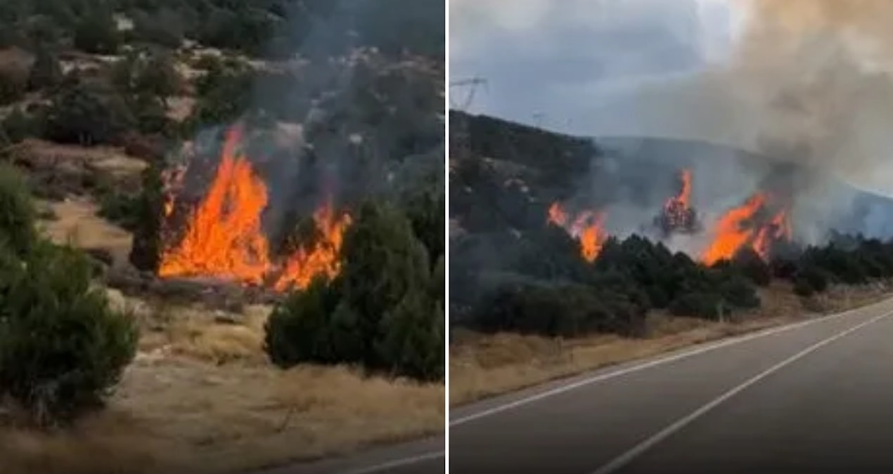 Forest fire in Isparta! The flames enlarged the fire - Breaking News