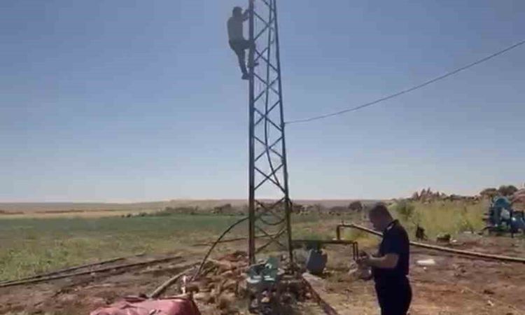 Gündemden Son Bilgiler: Kaçak trafonun sökülmesini engellemek için elektrik direğine çıktı - Haberleri