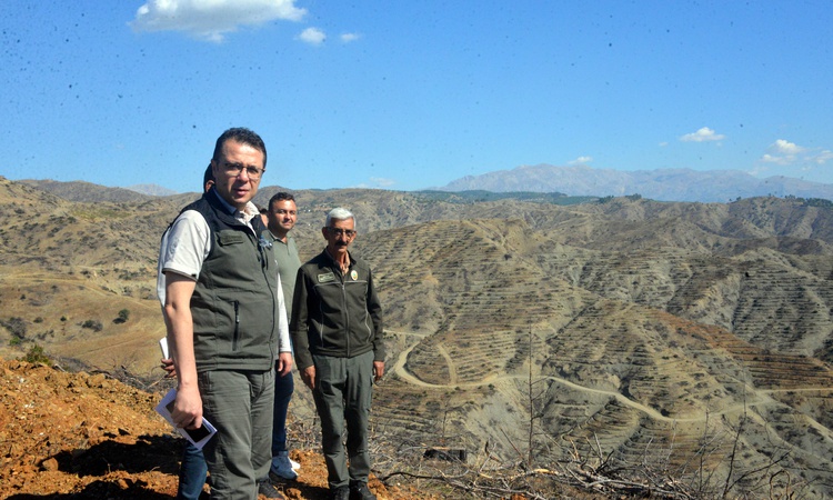 Kahramanmaraş'ta Çamlıbel'deki orman yangınının idareye zararı 600 milyon lirayı aştı
