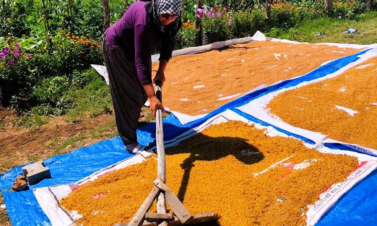 Kahramanmaraş’ta kışlık telaşı - Son Dakika: Gelişmeler Takip Ediliyor