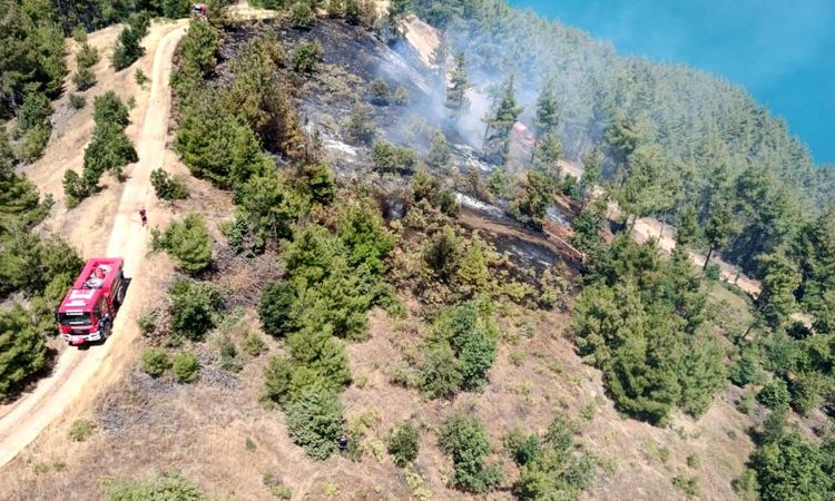 Forest flames in Kahramanmaraş - Breaking News