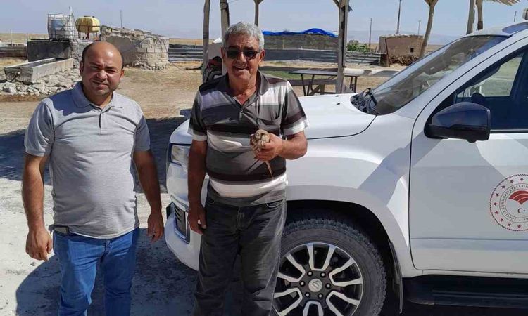 Ayrıntılar Netleşti: Kanadından yaralanan kızıl şahin, duyarlı çiftçinin dikkatiyle kurtuldu - Son Dakika Habe