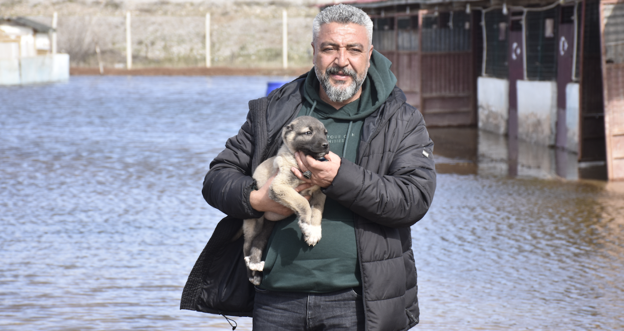 Kritik Açıklama: Kangal köpeği çiftliği su altında kaldı - Haberleri