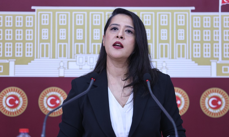 Karaca, Diyarbakır Sur'da 540 dönümden fazla meranın GES'e tahsisini TBMM'ye taşıdı: Gelişmeler Takip Ediliyor