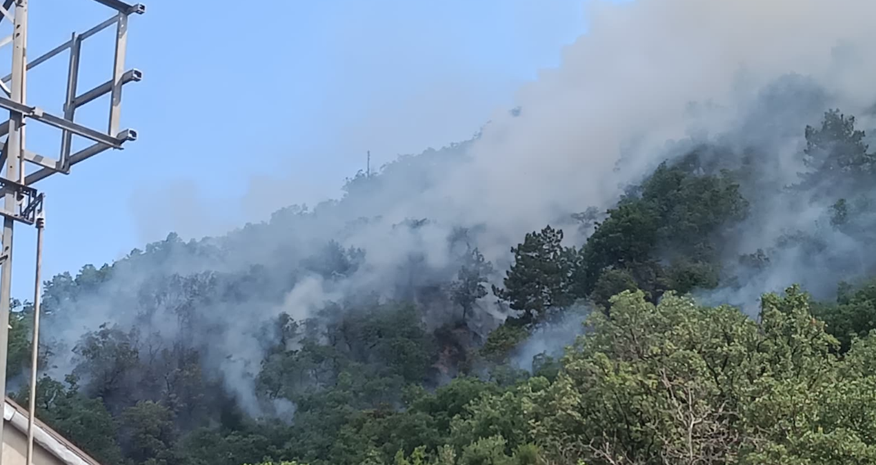 The forest fire in Kastamonu is being intervened - News