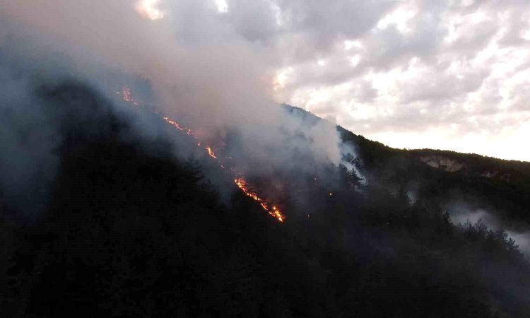 Response to forest fires in Kastamonu continues - Last Minute