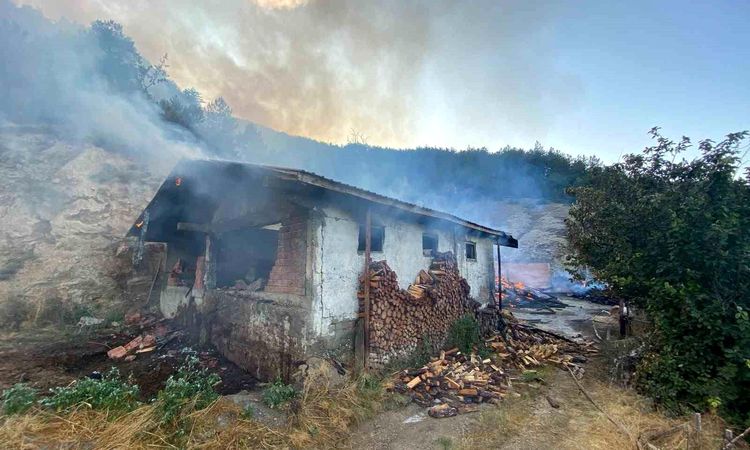 The flames that broke out in a house in Kastamonu spread to the forest - Breaking News