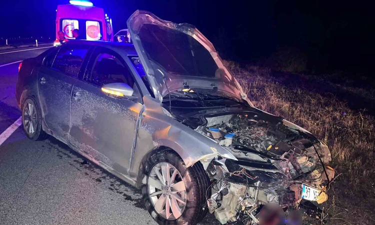 Kastamonu Hanönü'de domuz sürüsüne çarpan otomobilde 2 kişi yaralandı - Son Dakika Bilgileri