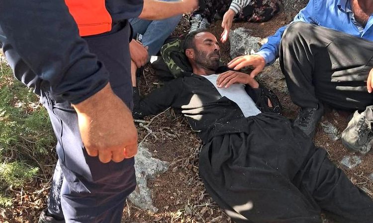 Missing person found exhausted in the forest - News