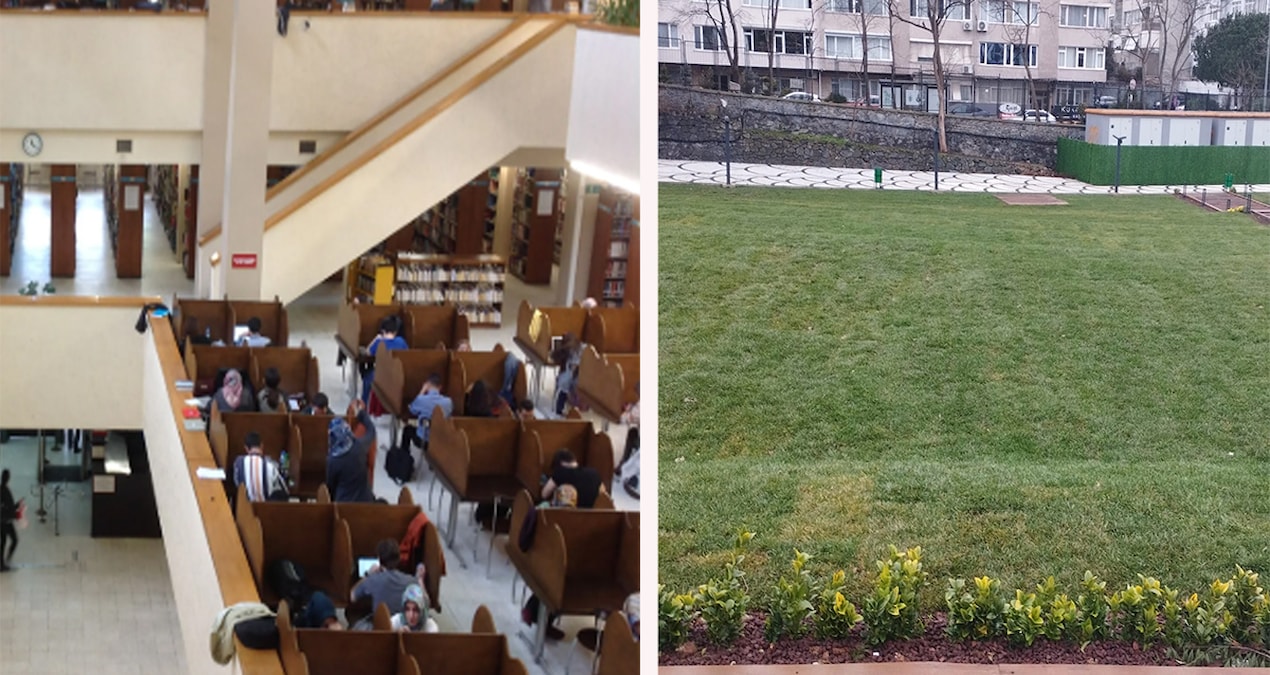 Kritik Açıklama: Kayyum Rektör 800 bin kitaplı kütüphaneyi çayır yaptı - En Son Haber: Gelişmeler Takip Ediliy
