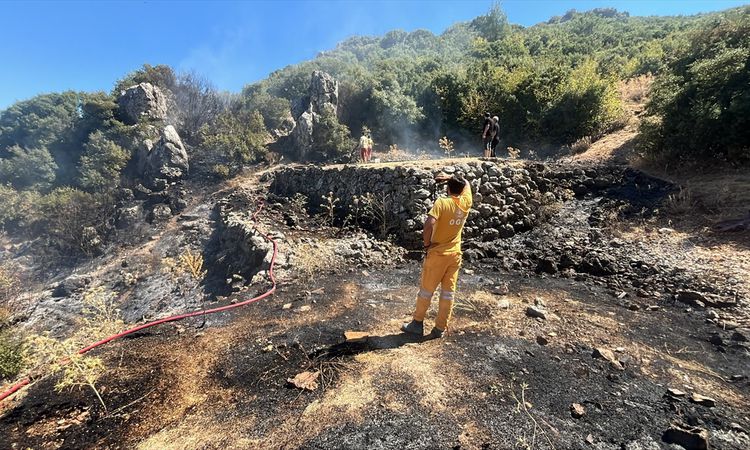 Kemalpaşa'da makilik alanda çıkan yangın kontrol altına alındı ve Merak Edilenler