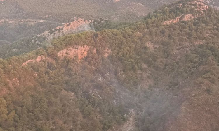 Son Gelişme: Kemer'de orman alevlerı 14 saatte dizginlendi - Son Dakika - Son Dakika Bilgileri
