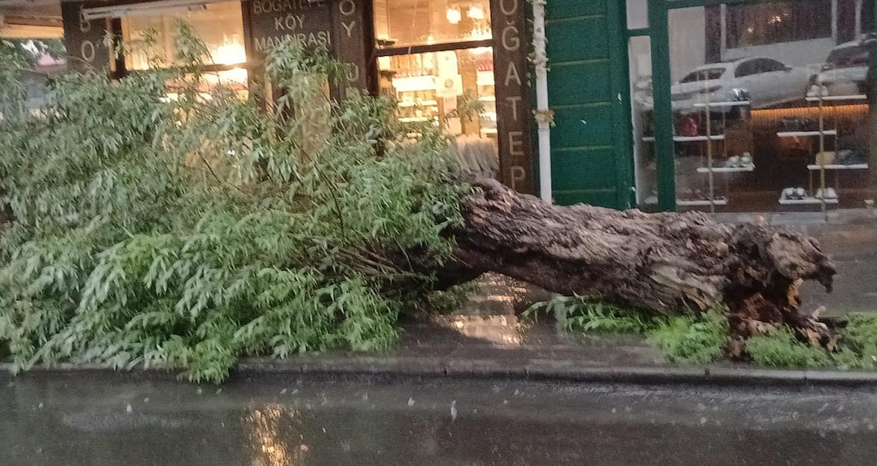 The city was hit by a shower and a storm: Roads turned into lakes, trees fell down - Latest News