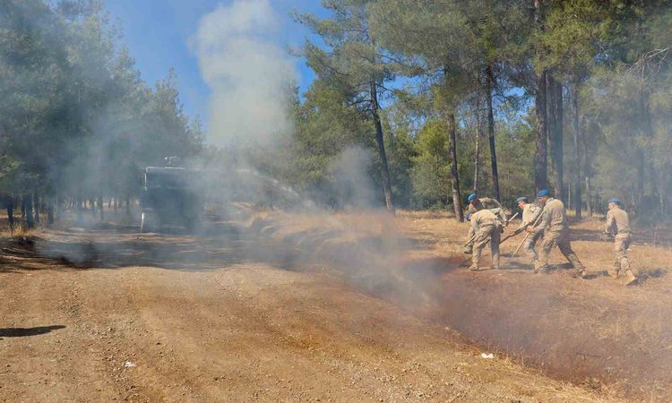 Gündemden Son Bilgiler: Kilis’te orman alevlerlarına karşı devriyeler artırıldı - Son Dakika | İşte Tüm Ayrınt