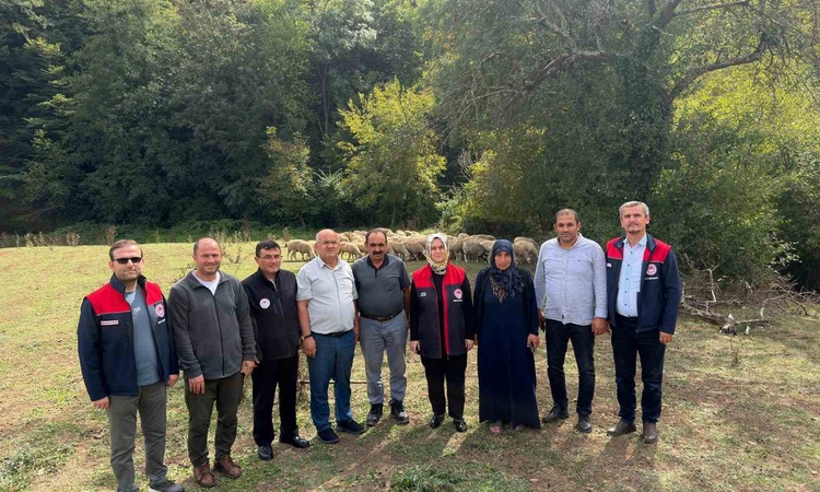 Kırsalda bereket, küçükbaşa destek: Gelişmeler Takip Ediliyor