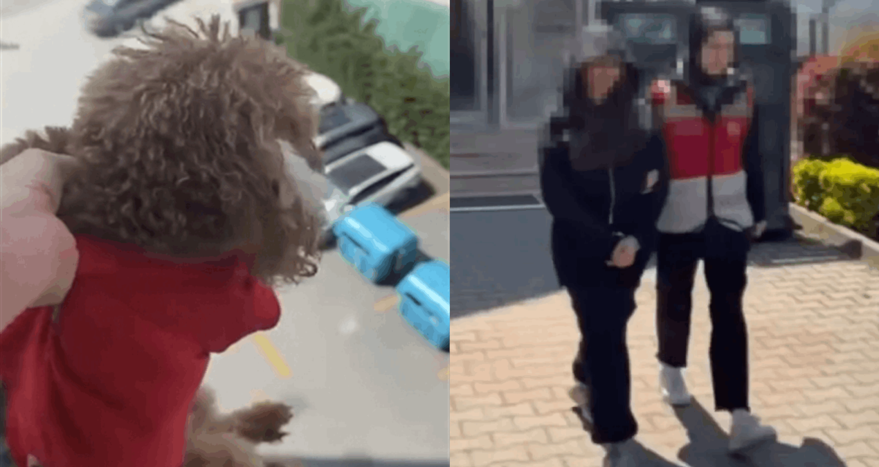 Köpeğine böyle eziyet etti: Cezasız kalmadı! - En Son Haber | İşte Tüm Ayrıntılar