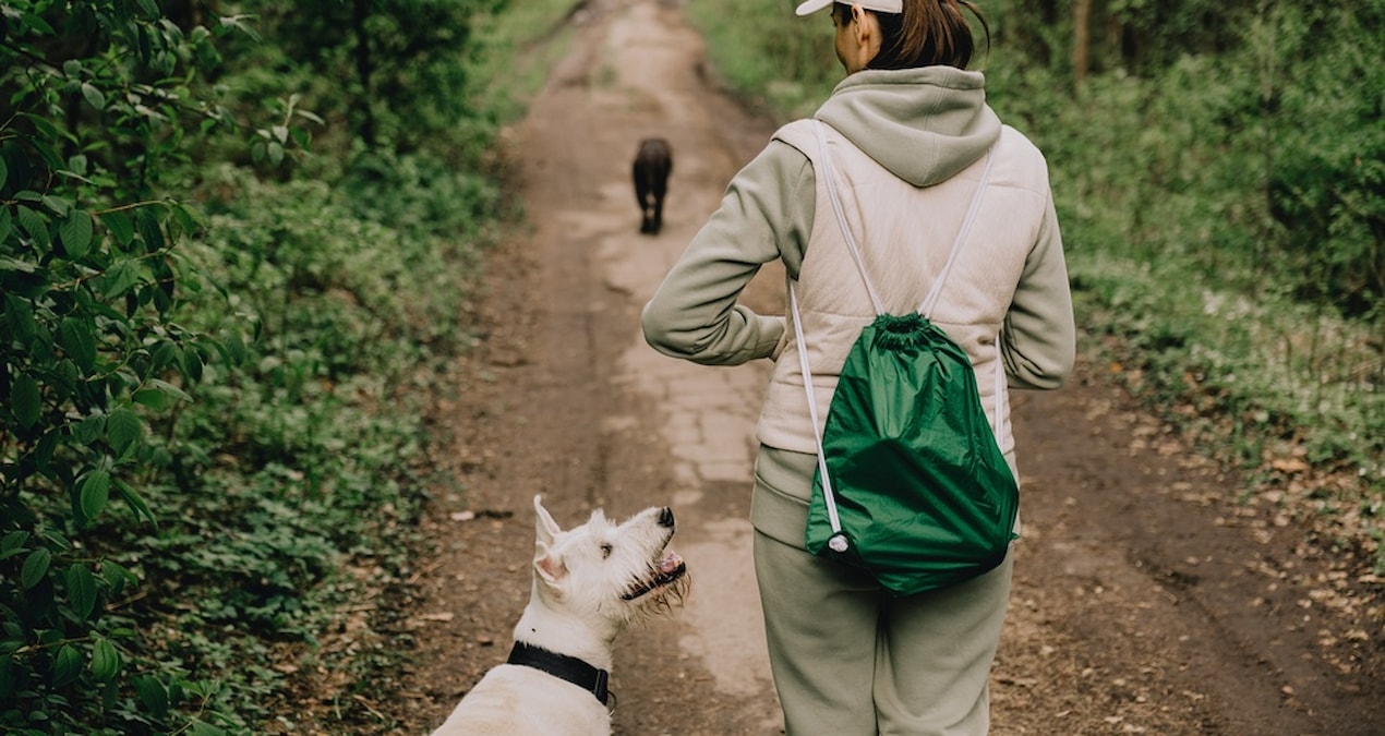 Gündemden Son Bilgiler: Köpek sahibi olanların o hastalığa yakalanmadığı gözler önüne serildi - En Son Haber -