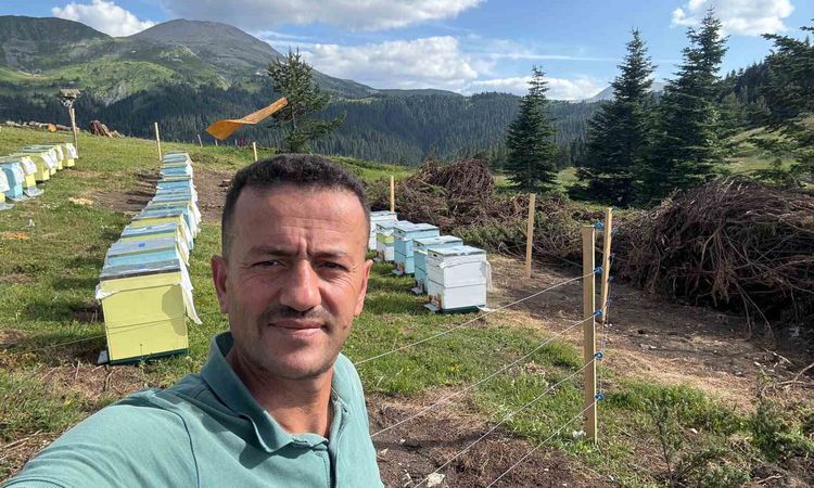 Son Gelişme: Koruma altındaki gelincik Ilgaz Dağı’nda görüntülendi - Haberleri | İşte Tüm Ayrıntılar