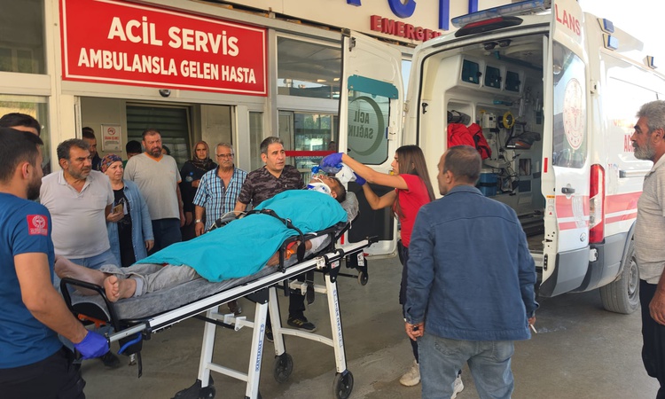 Kritik Açıklama: Adana Kozan'da emekli uzman çavuş Yusuf Özdoğan kestiği ağacın altında ağır yaralandı: Gelişm