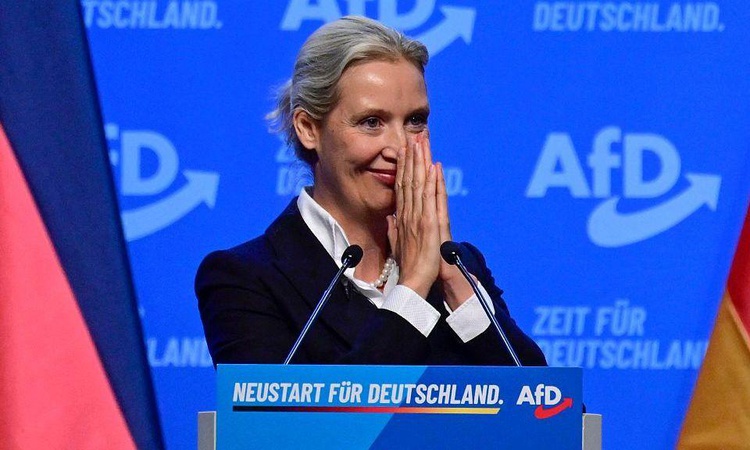Kritik Açıklama: AfD, Mecklenburg-Batı Pomeranya'da yüzde 38 oyla yükselişini sürdürdü ve Merak Edilenler