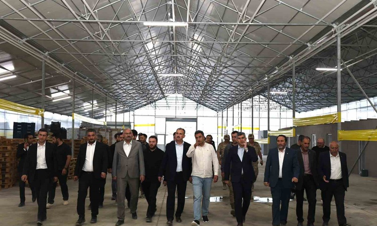 Kritik Açıklama: Ağrı Valisi Bozkurt, Diyadin Jeotermal Sera OSB'deki çalışmaları yerinde inceledi - Son Dakik