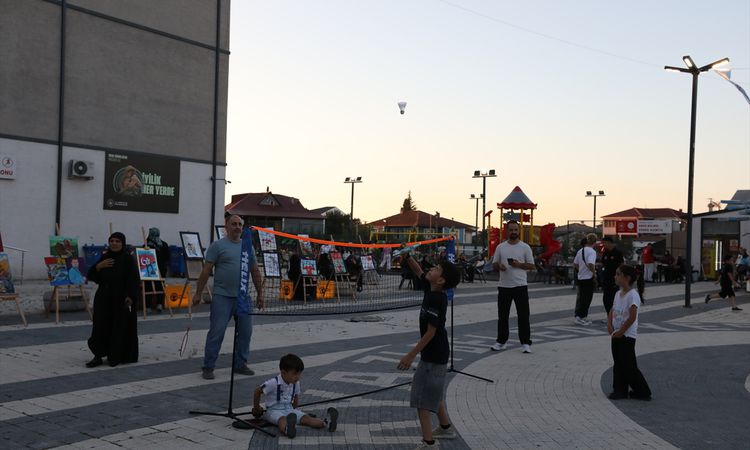 Kritik Açıklama: Akyazı'da Gençlik ve Spor Festivali coşkusu ve Merak Edilenler