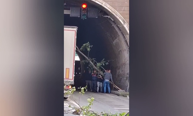 Kritik Açıklama: Artvin Hopa'da tünelde heyelan sonrası ağaçlar seyir halindeki araçların üstüne gerileme kayd