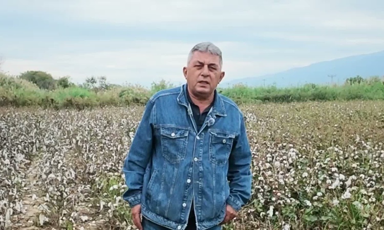 Kritik Açıklama: Aydın Nazilli'de pamuk üreticisi mazotun litresi 30'dan 100 liraya çıkınca zorlanıyor - Son D