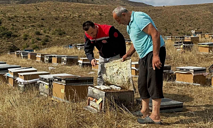 Kritik Açıklama: Aydıntepe’de 2026 yılı arılı kovan tespitleri resmen start aldı - Son Dakika Bilgileri