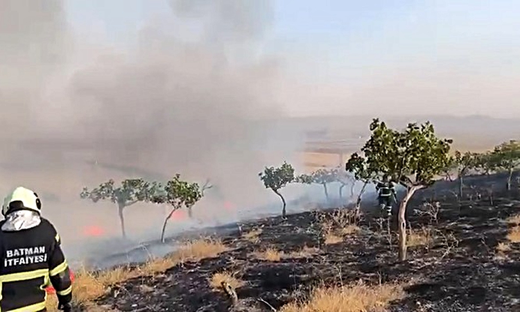 Kritik Açıklama: Batman OSB ile Danalı köyü arasındaki anız yangını itfaiye ekiplerince söndürüldü ve Merak Ed