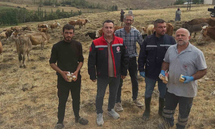 Kritik Açıklama: Bayburt Aydıntepe'de Tarım ve Orman Müdürlüğü yonca otlatmada şişkinlik uyarısı yaptı - Son D