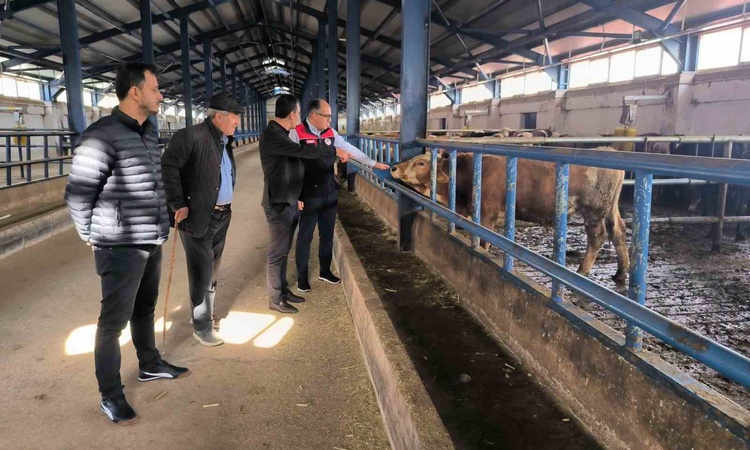 Kritik Açıklama: Bayburt'ta 240 büyükbaş kapasiteli işletmeyi İl Tarım ve Orman Müdürü ziyaret etti ve Merak E