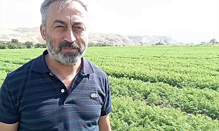 Kritik Açıklama: Beypazarı Ziraat Odası Başkanı, 612 bin 578 dekar alanda üretim yapıldığını bildirdi. | İşte