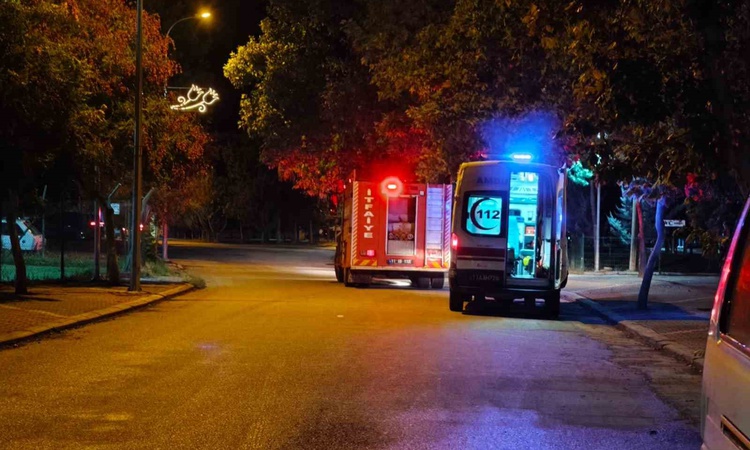 Kritik Açıklama: Bilecik Osmaneli'de Sakarya Nehri'ne düşen kişi, devrilen ağaca rağmen kurtarıldı - Son Dakik