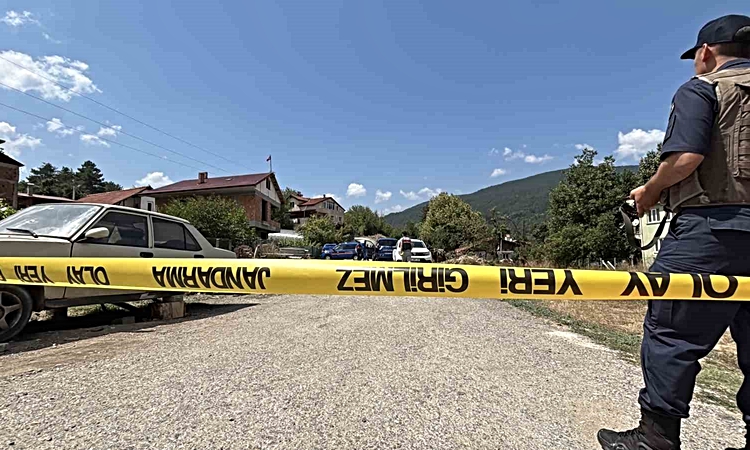 Kritik Açıklama: Bolu Mengen'de çifte cinayet zanlısı 38 gün sonra ormanlık alanda silahıyla yakalandı - Son D
