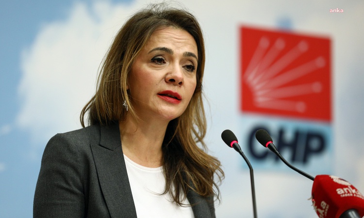 Kritik Açıklama: CHP Genel Başkan Yardımcısı İlgezdi esnaf için adil Perakende Yasası istedi
