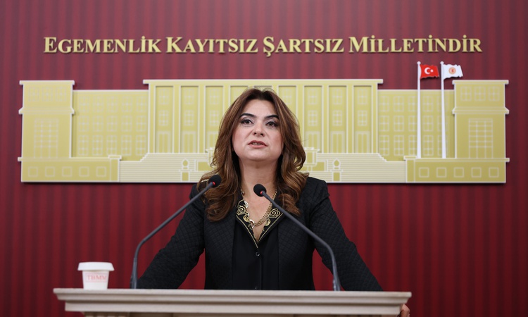 Kritik Açıklama: DEM'li Koçyiğit, 2027 bütçesinde her 100 liranın 17 lirasının faize gittiğini söyledi ve Mera
