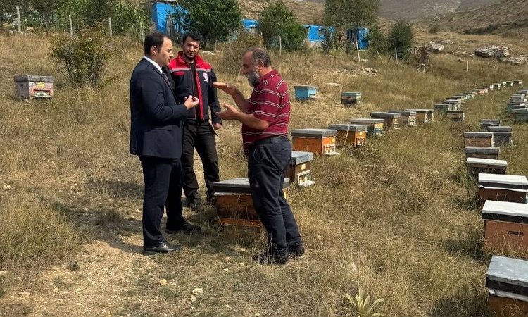 Kritik Açıklama: Demirözü Kaymakamı Ahat, Akyaka köyünde vatandaş ve arıcılarla buluştu ve Merak Edilenler