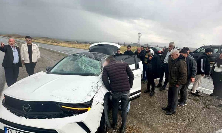 Kritik Açıklama: Diyarbakır Silvan'da kaygan yolda otomobil yoldan çıktı, 1 kişi yaralandı