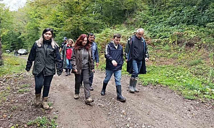 Kritik Açıklama: Doğa Koruma ve Milli Parklar İl Müdürlüğü Bartın'da 300 sülünü doğaya saldı | İşte Tüm Ayrınt