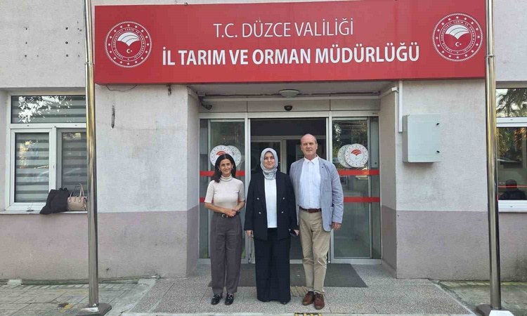 Kritik Açıklama: Düzce'de arıcılık çalışmaları DAGEM ve Tarım İl Müdürlüğü görüşmesinde ele alındı: Gelişmeler