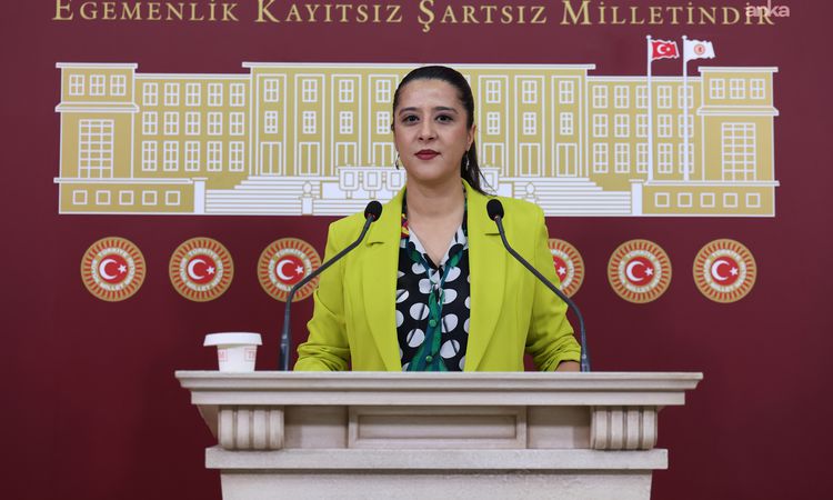 Kritik Açıklama: EMEP'li Karaca, Akşehir'deki Kadına Yönelik Şiddet İddiasını Meclis Gündemine Taşıdı: Gelişme