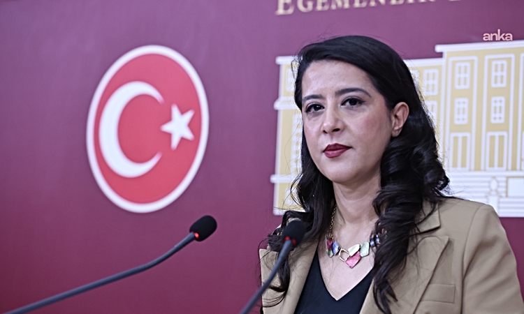 Kritik Açıklama: EMEP'li Karaca, Bakan Gürlek'e üniversite öğrencisine yönelik cinsel saldırı ve beraat kararı