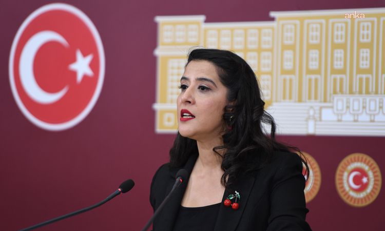 Kritik Açıklama: EMEP'li Karaca'dan Ötanazi Talepli Vatandaş İçin TBMM'ye Soru Önergesi ve Merak Edilenler
