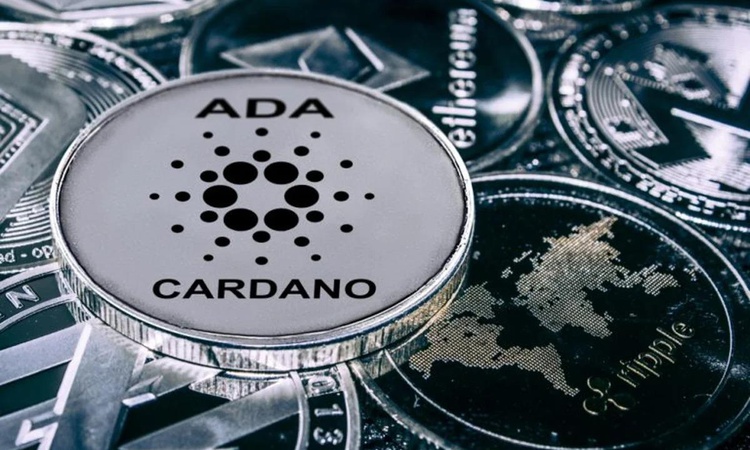 Kritik Açıklama: Enerji devinden Cardano hamlesi ve Merak Edilenler