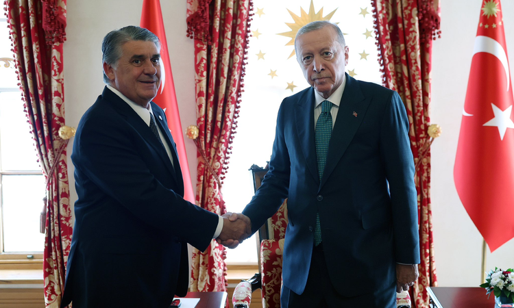 Kritik Açıklama: Erdoğan, Beşiktaş Başkanı Serdal Adalı'yı Kabul Etti ve Merak Edilenler
