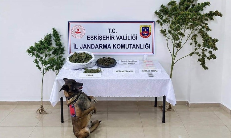 Kritik Açıklama: Eskişehir Tepebaşı'nda operasyonda 1,5 kilo esrar ele geçirildi, 1 şüpheli hakkında tutuklama