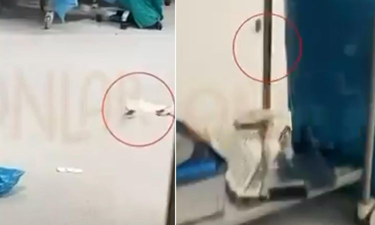 Kritik Açıklama: Görüntüler İstanbul’daki hastanenin ameliyathanesinden! Hasta masadayken fareler dolaştı