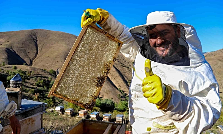 Kritik Açıklama: Gümüşhane'de bal sezonu kapandı, rekolte yüzde 40-50 geriledi | İşte Tüm Ayrıntılar